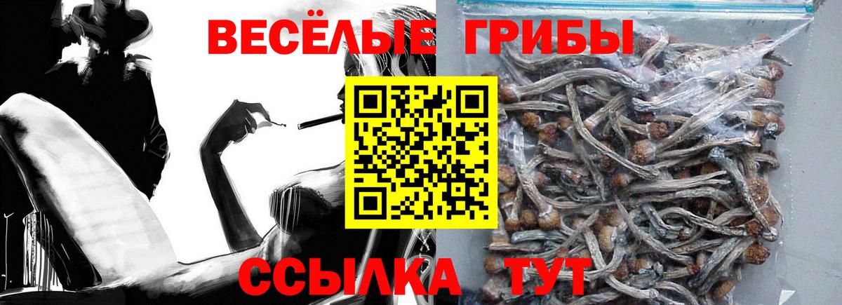 Галлюциногенные грибы ЛСД  Вход с VPN  Тосно  Псилоцибиновые грибы GOLDEN TEACHER 